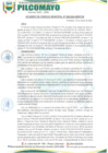Vista preliminar de documento AM208