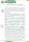 Vista preliminar de documento AM209