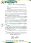 Vista preliminar de documento AM217