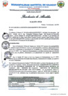 Vista preliminar de documento Resolución de Alcaldia 207