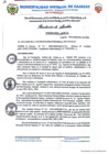 Vista preliminar de documento Resolucion de Alcaldia 209