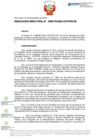 Vista preliminar de documento RD Nº D000178-2024-DE