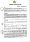 Vista preliminar de documento AC-2024-082