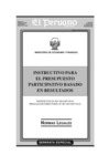 Vista preliminar de documento INSTRUCTIVO DE PP