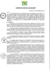 Vista preliminar de documento AC-2024-085