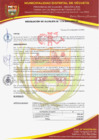 Vista preliminar de documento RESOLUCION DE ALCALDIA N° 174-2024-MDV