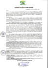 Vista preliminar de documento AC-2024-091