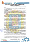 Vista preliminar de documento RESOLUCION DE OGAF N° 100-2024-MPCH