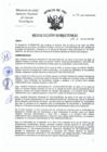 Vista preliminar de documento RD-190-2024-DG-INCN