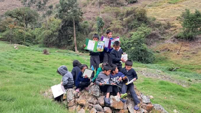 La DRE Piura celebra la Semana de la Educación Rural, con actividades que destacan el papel fundamental de maestros y estudiantes rurales en el desarrollo regional y nacional.