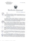 Vista preliminar de documento RD N° 216