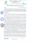 Vista preliminar de documento rgi795