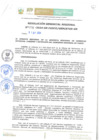 Vista preliminar de documento Resolución Gerencial Regional N° 31
