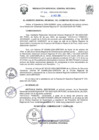 Vista preliminar de documento R.G.G.R Nº 272-2024-GGR-GR PUNO.
