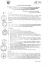 Vista preliminar de documento DIRECTIVA 012-2024 OMDI