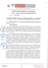 Vista preliminar de documento Resolución Gerencial Regional N° 038
