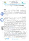 Vista preliminar de documento rgi825