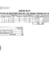 Vista preliminar de documento RUAF 168-2024-PRONIS anexo