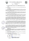 Vista preliminar de documento R.G.G.R Nº 306-2024-GGR-GR PUNO