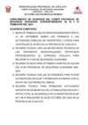 Vista preliminar de documento ACUERDOS III_IV TRIM_CUMPLIDOS Y PENDIENTES