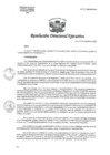 Vista preliminar de documento R.D.E. Nº247-2024-HNAL-OEA