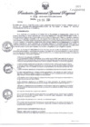 Vista preliminar de documento RGGR559-2024