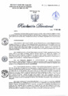 Vista preliminar de documento RD N°1315-2024-DG-DIRIS-LC