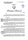 Vista preliminar de documento RD N°1317-2024-DG-DIRIS-LC