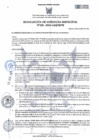 Vista preliminar de documento 391-2024