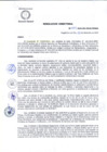 Vista preliminar de documento R.D 242-24-DG