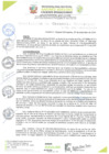 Vista preliminar de documento RESOLUCIÓN DE GERENCIA N° 0251
