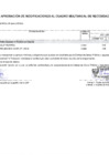 Vista preliminar de documento Modificaciones al Cuadro Multianual de Necesidades Nº 00000183-2024-MDSA