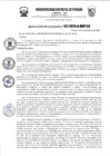 Vista preliminar de documento r517