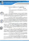 Vista preliminar de documento RG 1097 QR