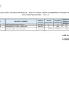 Vista preliminar de documento RESULTADOS PRELIMINARES