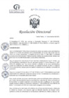 Vista preliminar de documento RD N°395-12-2024-DE-HCLLH-MINSA
