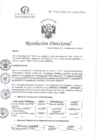 Vista preliminar de documento RD N°401-12-2024-DE-HCLLH-MINSA