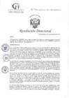 Vista preliminar de documento RD N°402-12-2024-DE-HCLLH-MINSA