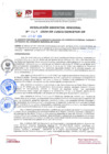 Vista preliminar de documento Resolución Gerencial Regional N° 067