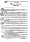 Vista preliminar de documento Nº 503-2024