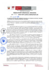 Vista preliminar de documento Resolución Gerencial Regional N° 093
