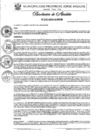 Vista preliminar de documento Nº 510-2024