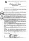 Vista preliminar de documento Nº 512-2024