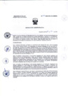 Vista preliminar de documento R.A 176-24-OEA