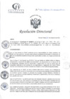 Vista preliminar de documento RD N°400-12-2024-DE-HCLLH-MINSA