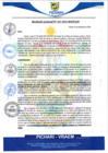 Vista preliminar de documento rgm637