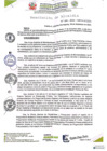 Vista preliminar de documento RESOLUCION DE ALCALDIA N° 0166