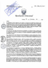 Vista preliminar de documento RD N° 295-2024-DE/HJATCH