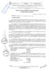 Vista preliminar de documento Resolución Consejo Universitario N° 4483-2024-UNHEVAL