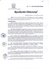 Vista preliminar de documento R.D 243-24-DG